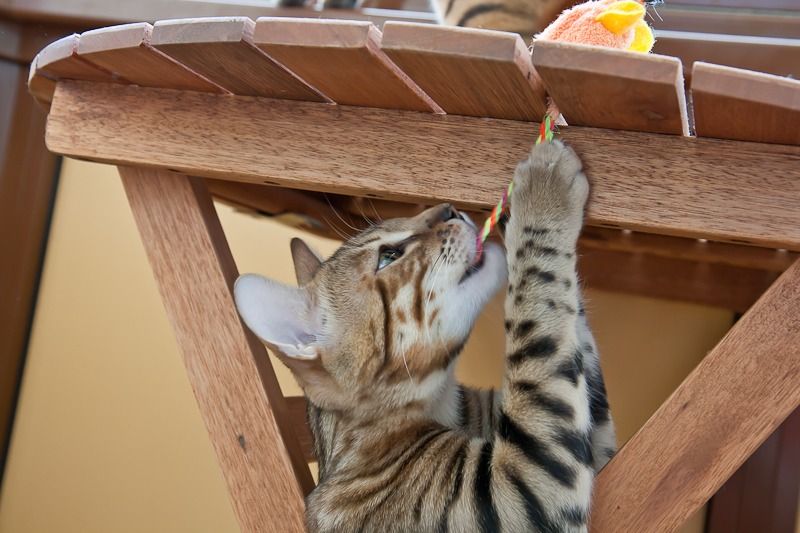 8128 hero vd loreley